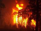 Пожар вилня във вилната зона на Перник 06_1372359382