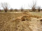 Жица, жица пълна паница или пандиз 10_1381996652