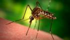 Новият хит са гривни, напоени със специален препарат срещу комари 06_1402905803