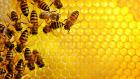 Разположиха поточна линия за добив на мед в Брезник 06_1404110515