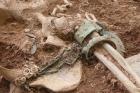Археолозите в Перник откриха скелет на млада невеста с булчинските й накити 07_1404887230