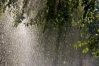 Дъждът попречи да се играе контролата със "Сливнишки герой" (Сливница) 07_1406789060
