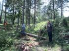 Бик пропадна в незаконен рудник в Перник 08_1407095784