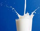 Изследване: Прясното мляко не е полезно за костите 10_1414750198