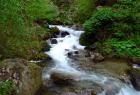 Безработни ще бъдат наети да чистят реките във Врачанско 06_1433941347
