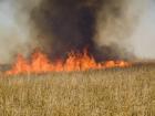 Има опасност от пожари днес в Перник 08_1439642965