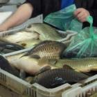 Проверяват продажбата на риба в Перник 12_1449222723