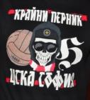 Феновете на ЦСКА в Перник подкрепиха благотворителна инициатива 12_1451038860