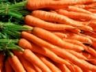 Според доклад има моркови, "натежали от олово" и овесена каша с отровни гъбички 01_1452576449