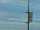 Сменят знамената по външноградската магистрала в Перник 01_1452838694