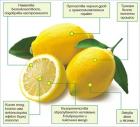 Лимонът е последното откритие срещу рак 03_1459402521