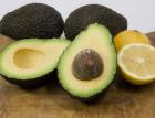 Авокадото е най-хранителният плод в света 05_1462767601