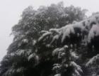 Сняг наваля в Сърбия 05_1463455427