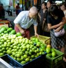 Недостиг на авокадо предизвика обири в Нова Зеландия 06_1465998708