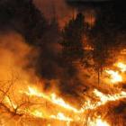 Пожарът в Расник отново поставя въпроса за небрежното отношение и паленето на огън 07_1468135213