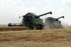 Износът ни на пшеница е нараснал с 270% 08_1470373013