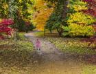 Как да се справим с есенната меланхолия 11_1478358644