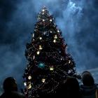 На 7 декември ще запалят коледната елха в Перник 12_1480750117