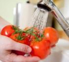 Перник снимка: за хората и събитията - миене на домати