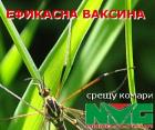 Ефикасна защита от комари от НИКО-М ГРУП
