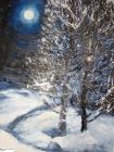 Зимна нощ - масло (автор Латинка Минкова)