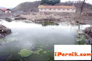 Новини за Перник от iPernik