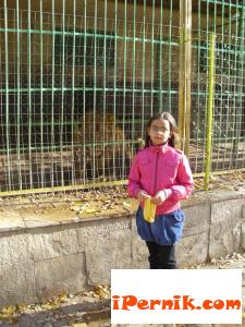 Зарина Методиева Лазарова