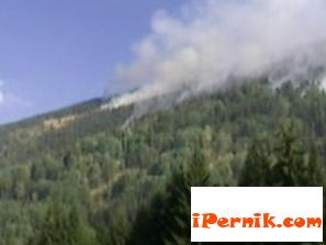 Новини за Перник от iPernik