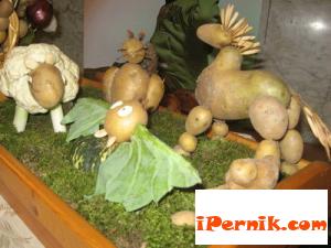 Новини за Перник от iPernik