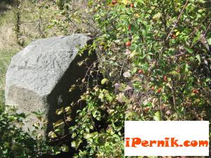Новини за Перник от iPernik