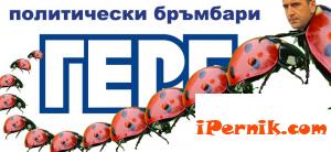политически бръмбари
