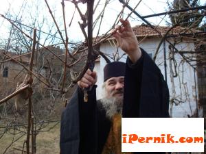 Трифон Зарезан в Гигинци; снимка: Руми Борисова