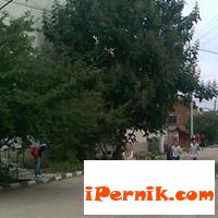 Новини за Перник от iPernik