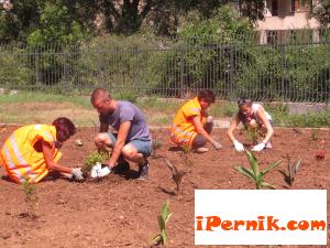 Цветни училищни дворове и детски градини в Перник 06_1371486244