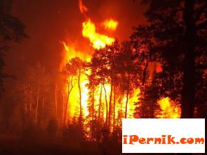 Пожар вилня във вилната зона на Перник 06_1372359382