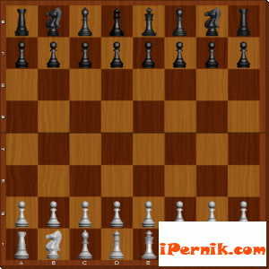 Осем пернишки шахматисти ще играят в Белоградчик 08_1376892484