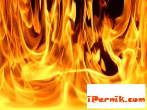 Пет пожара в сухи треви и храсти 08_1377083647