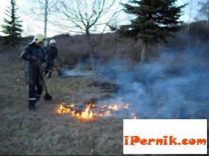 сн. pernikonline.com 