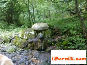 Туристи намериха скелет в Боснек 09_1379008666
