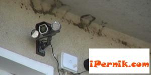 Задържаха Лисицата при опит за кражба 09_1379321088