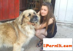 Нови факти по делото за убийството на Мирослава 01_1389306825