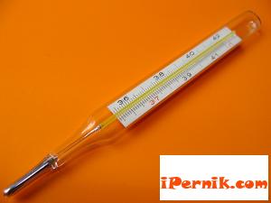 Перник на ръба на грипната епидемия 01_1390837257