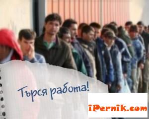 Последната трудова борса в Перник беше посетена от над 200 безработни 04_1396959006