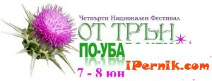 Четвърти национален фестивал "От Трън по - убаво нема - 2014" ще събере клубове за български танци и любителски ансамбли в град Трън 06_1402043363