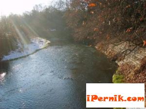 Растенията в коритото на река Струма отново се развиват 07_1404991023