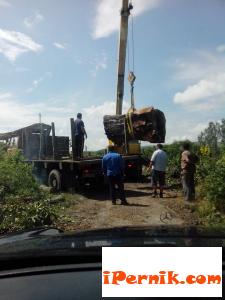 Отсякоха вековен орех край Струма 07_1406541146