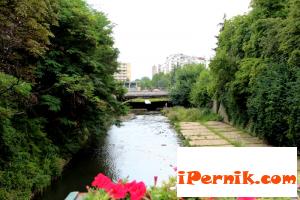 Нивото на Струма в Перник под средномесечния минимум 08_1407260692