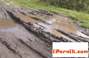 Фирма за добив на дърва разби пътищата в трънско село 09_1411547286