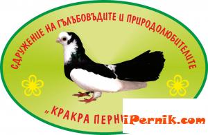 Изложба базар на гълъби и декоративни птици в Перник 10_1413839067