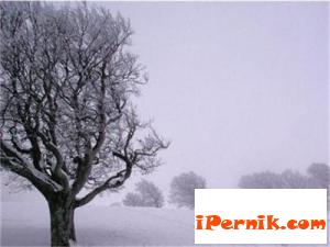 Очаква ни много студена зима 10_1414047210